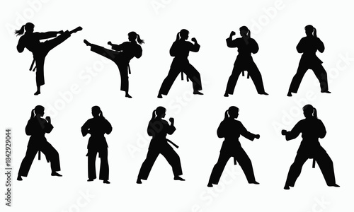 ASilhouettes of martial artists performing various kicks and fighting stances against a white backgrounddobe Illustrator Artwork