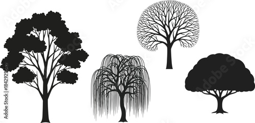 Silhouettes of diverse trees oak weeping willow and bare branches shown