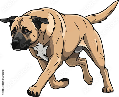 Kangal Shepherd Dog running energetic athletic pose