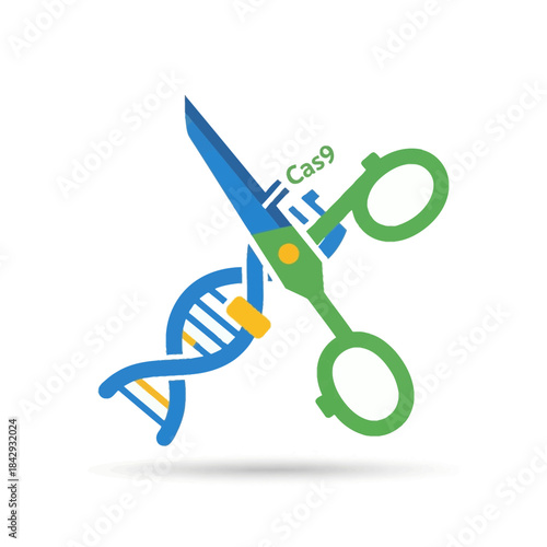 CRISPR Cas9 gene editing concept with scissors cutting DNA strand, genetic engineering and biotechnology vector illustration
