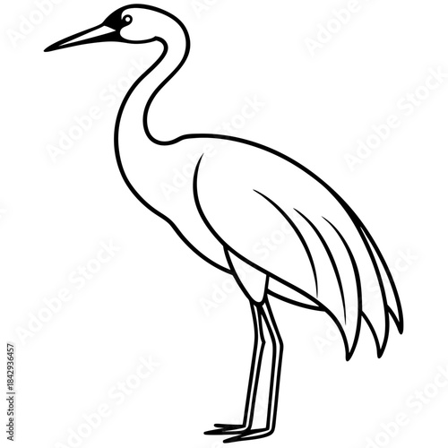 Crane Silhouette Vector