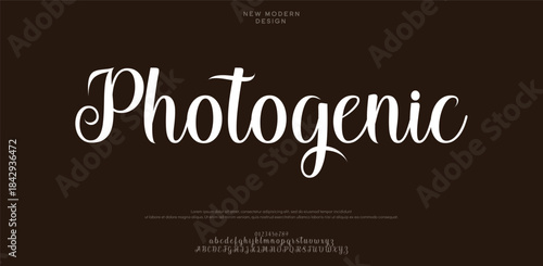 Photogenic is a classy, decorative script font with elegant curls and a professional look.