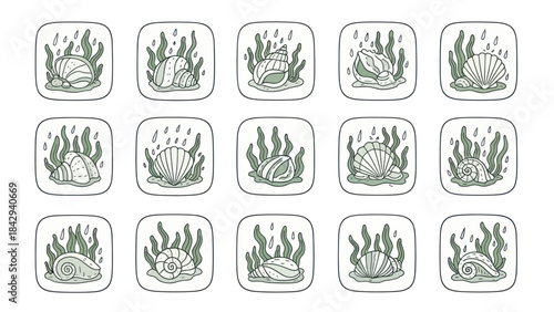 Cartoon seashells and algae illustrations in square frames for design elements