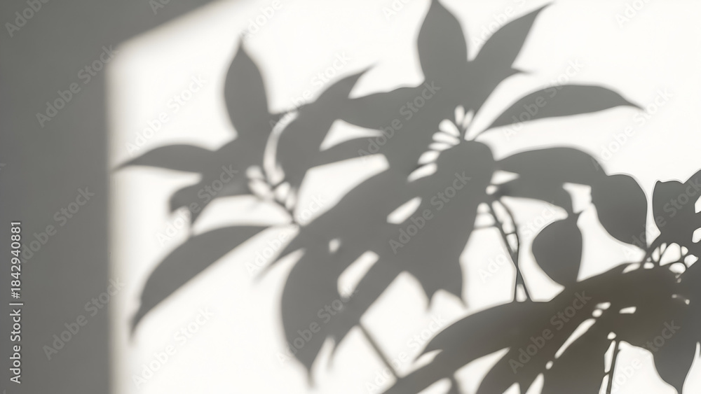 custom made wallpaper toronto digitalAbstract shadow of a plant with distinct leaves cast on a white wall