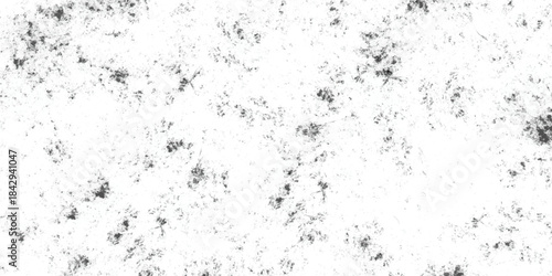 Abstract grunge texture. Grunge black and white pattern.