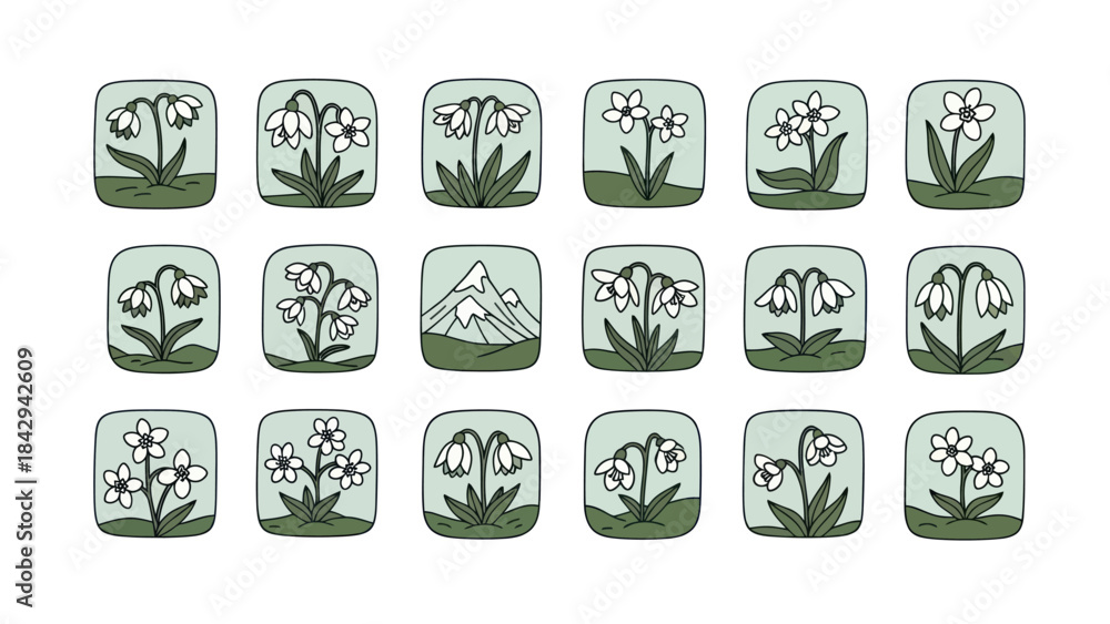Fototapeta premium Floral illustration set in square frames for design elements and patterns