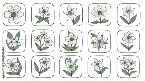 Floral illustration set isolated white flowers with green leaves