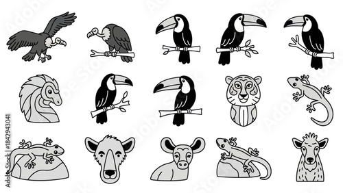 Wildlife animals cartoon set diverse species graphic illustration design