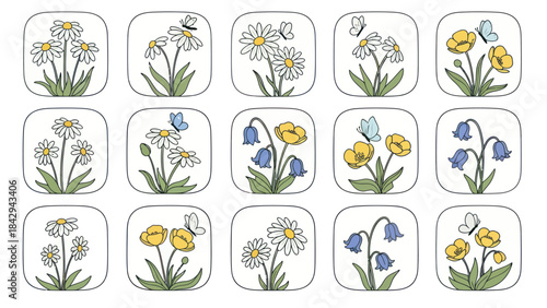 Floral illustrations daisies butterflies and flowers in a decorative arrangement