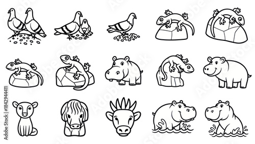 Cartoon animals collection birds lizards hippos and other wildlife