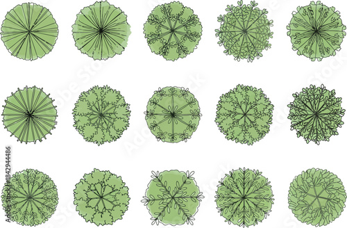 Set of fifteen different green trees viewed from above