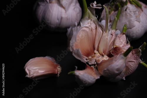 garlic on black background