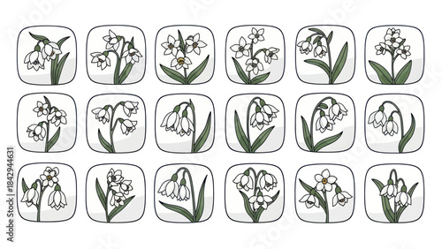Floral pattern illustration with various white flower arrangements on white squares