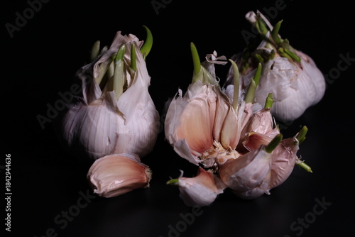garlic on black background