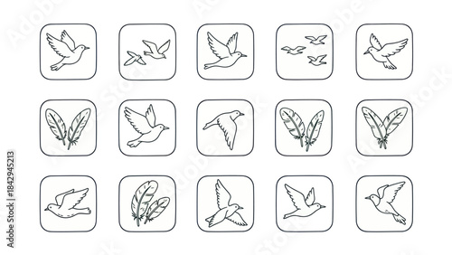 Flying bird icons and feather symbols set isolated on white background