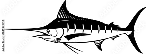 Illustration of a marlin fish with a long pointed bill silhouette
