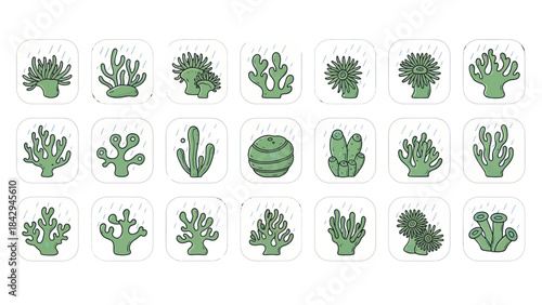 Collection of stylized green coral reef icons in square transparent frames