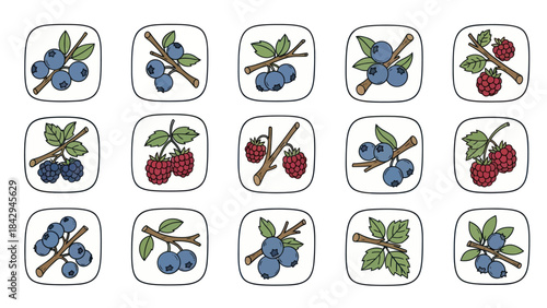 Fresh berries vector illustrations blueberries and raspberries with leaves