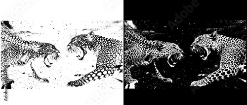 Vintage Leopards Confrontation Engraving, Inverted Black White Xerography Vector for Laser Engraving on Dark Background