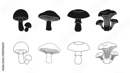 Black and white illustration of various mushroom shapes and outlines