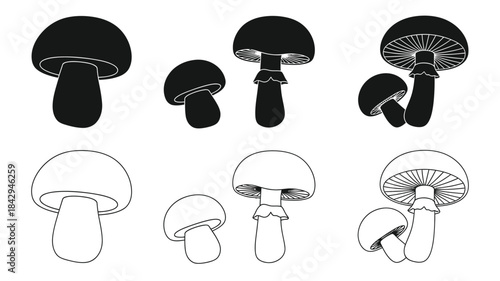 A collection of illustrated mushrooms in varying styles and perspectives