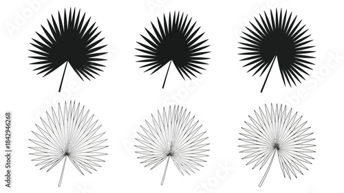 Three sets of palm leaves black silhouettes and white textured versions