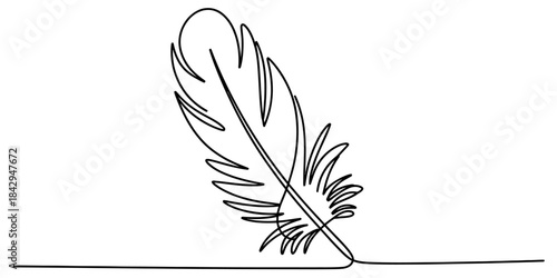 Minimalist continuous one-line art drawing of a feather illustration Vector, illustration
