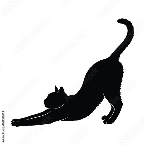 Black cat stretching its body in a dramatic silhouette pose