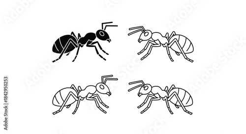 Concise set of four ant illustrations, featuring one solid black silhouette and three detailed outline versions, against a clean white background.