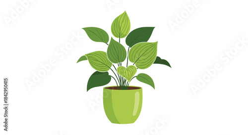 Vibrant green houseplant in a lime pot with broad leaves reaching upward creates a bright fresh indoor garden scene suitable for cozy home decor.