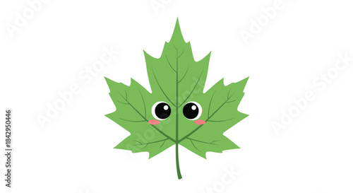 Playful cartoon maple leaf character with large shiny eyes pink cheeks and a tiny smile rests on a clean white background for kids and spring designs.