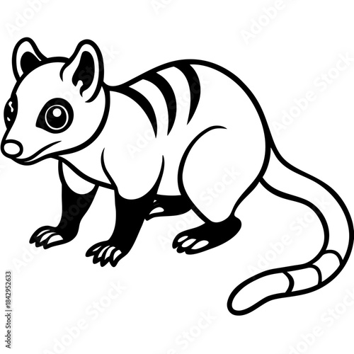 Cuscus Animal Vector Silhouette