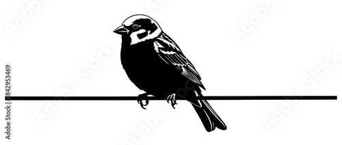 Vector Silhouette of a Reed Bunting Bird Perched on a Thin Wire Against a White Background