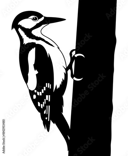 Striking Black and White Silhouette of a Woodpecker Climbing Tree Trunk Nature Wildlife Illustration
