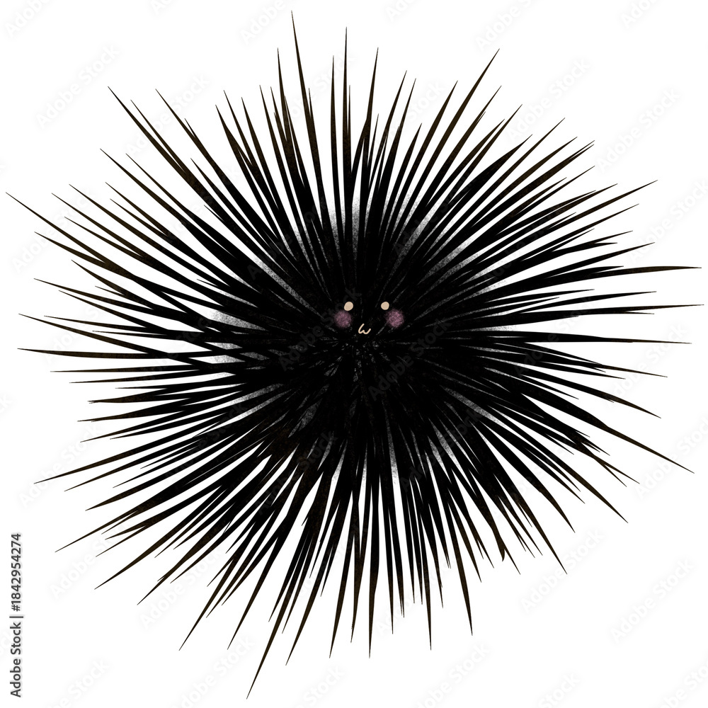 Obraz premiumblack sea ​​urchin