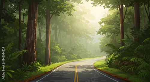 Winding forest road with sunlit trees and lush green foliage