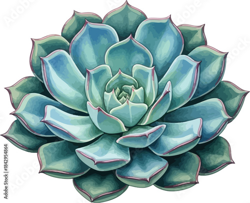 Vibrant Blue-Green Succulent Plant Vector Illustration with Detailed Leaves