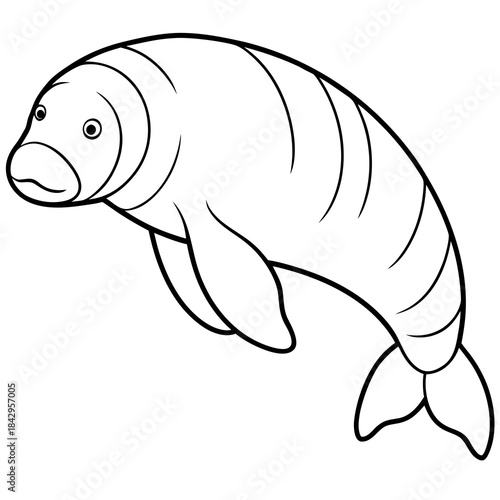 Dugong Line Art Vector – Minimal White Background Illustration