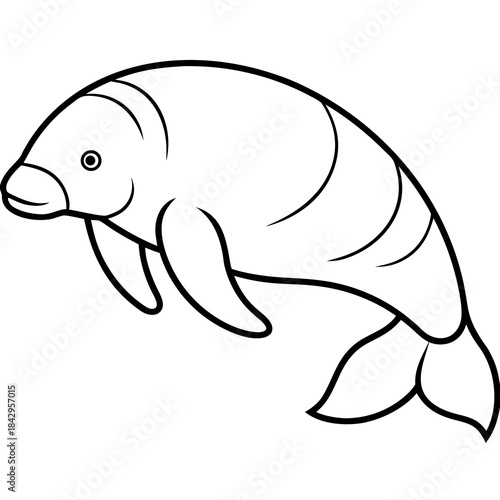 Dugong Line Art Vector – Minimal White Background Illustration