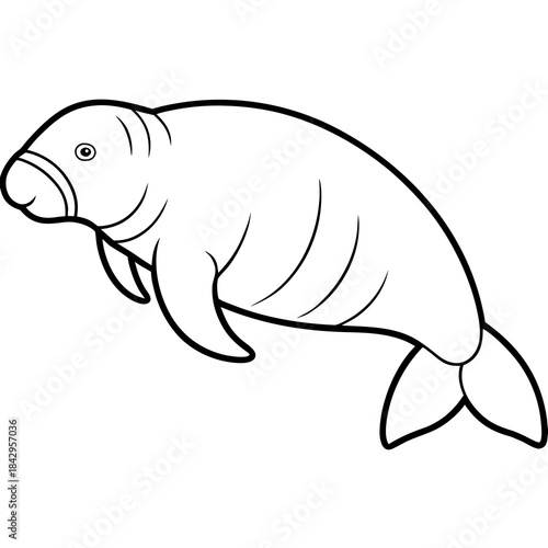 Dugong Line Art Vector – Minimal White Background Illustration