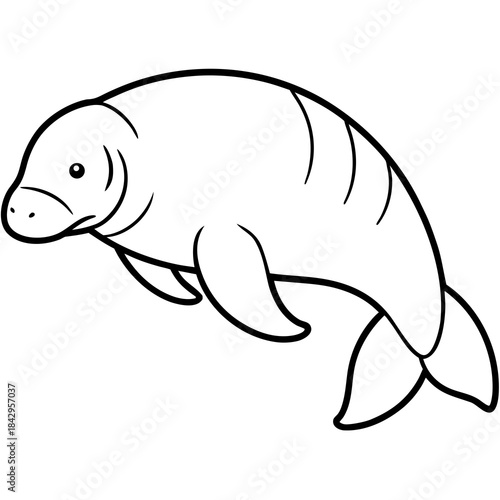 Dugong Line Art Vector – Minimal White Background Illustration