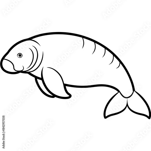 Dugong Line Art Vector – Minimal White Background Illustration
