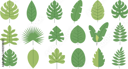 Flat botanical leaf collection, tropical jungle foliage pack, simple green shapes, clean vector style, white background