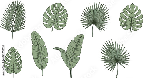 Flat botanical leaf collection, tropical jungle foliage pack, simple green shapes, clean vector style, white background 2