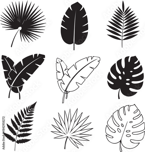 Minimalist botanical leaf set illustration featuring various tropical and jungle leaves line art 
