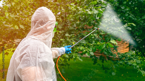 Obraz na płótnie Treatment of plants in the garden with pesticides and fungicides to protect against diseases and pests