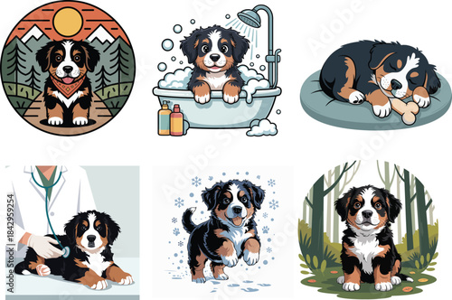 Bernese mountain dog puppy cute poses with bath and nature scenes