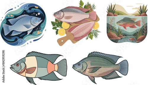 Tilapia fish fresh fillets with lemon herbs and whole fish set