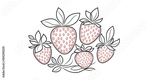 Elegant line art illustration featuring a cluster of fresh strawberries with delicate leaves, presented as clean outlines with subtle internal details, perfect for coloring.