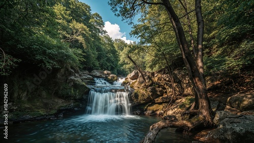 A peaceful creek with a small waterfall flowing through a forested area with lush green trees and rocks.